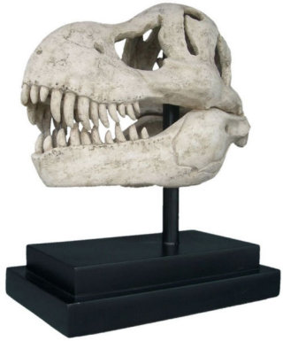 T-rex Dinosaur Skull Fossil Statue