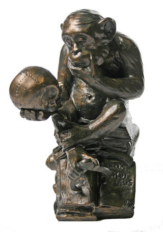 Monkey with Skull Darwin Ape Statue By Rheinhold