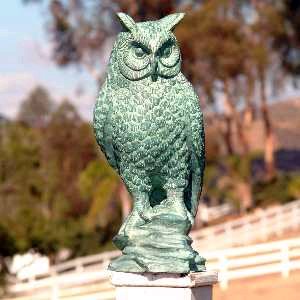 Owl Bronze Sculpture 14" High