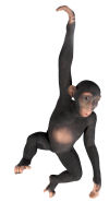 Hanging Jungle Monkey Statue