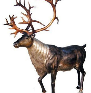 Deer, Moose, Antlered Mammals